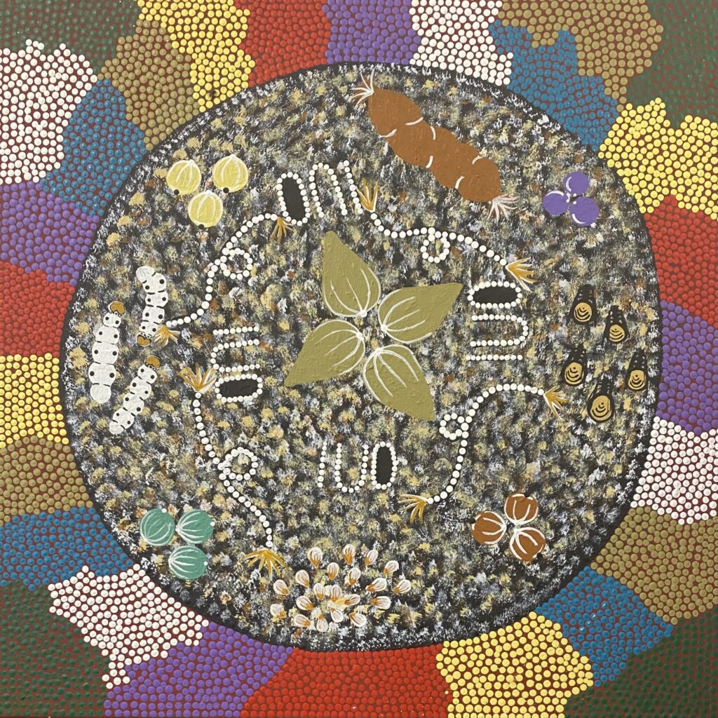 110:24Sabrina61x61BushFood