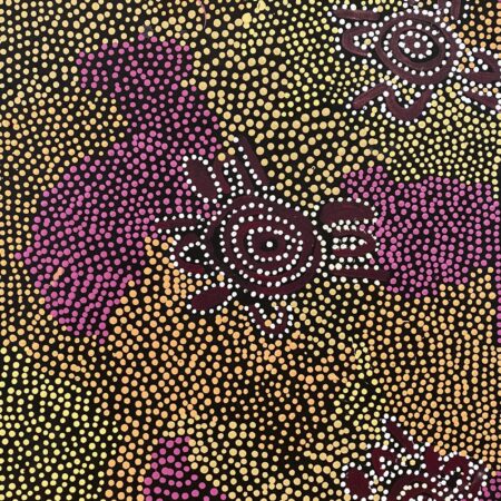 Inkwareny Anengkerr (honey ant Dreaming)