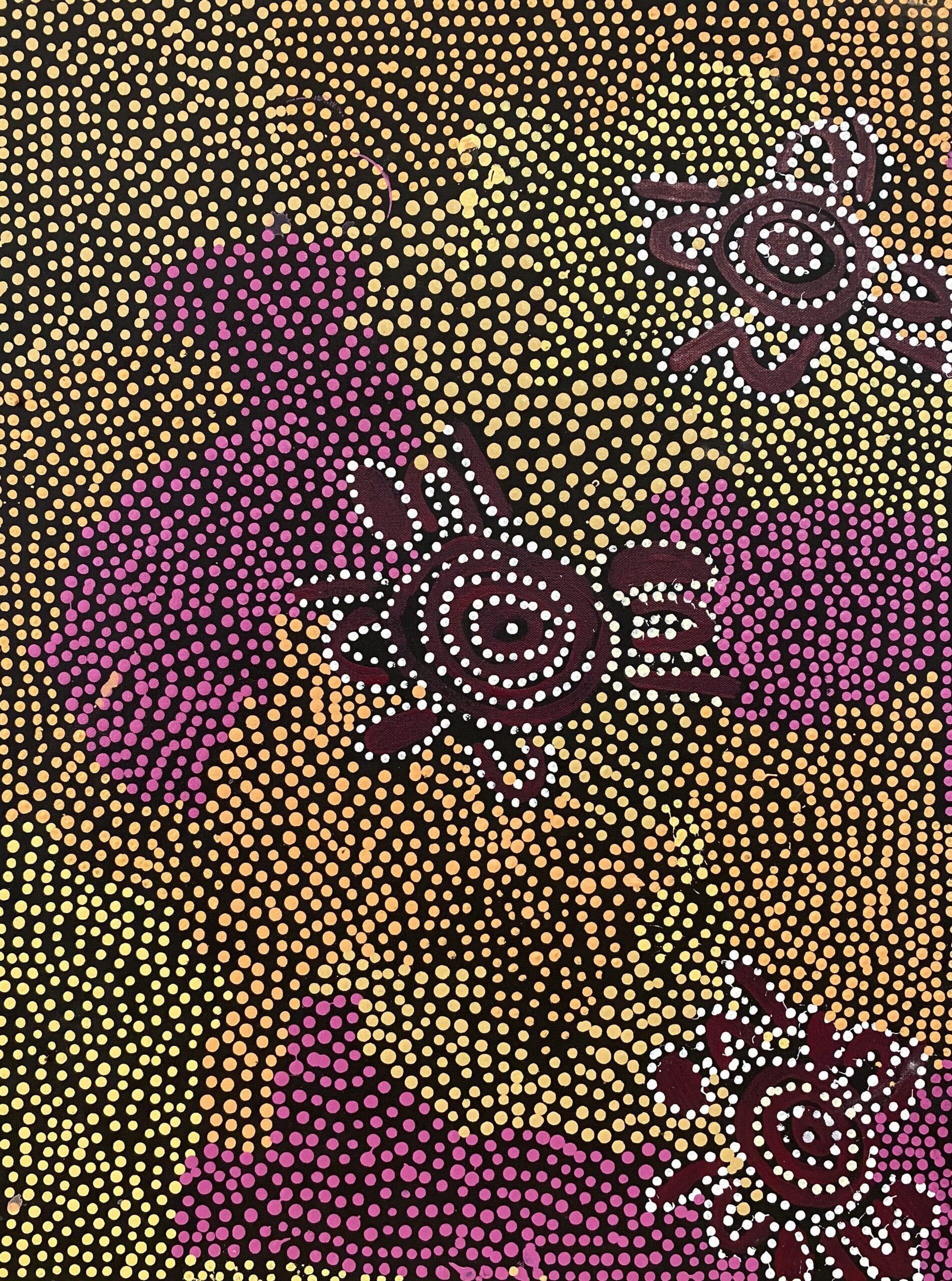 Inkwareny Anengkerr (honey ant Dreaming)