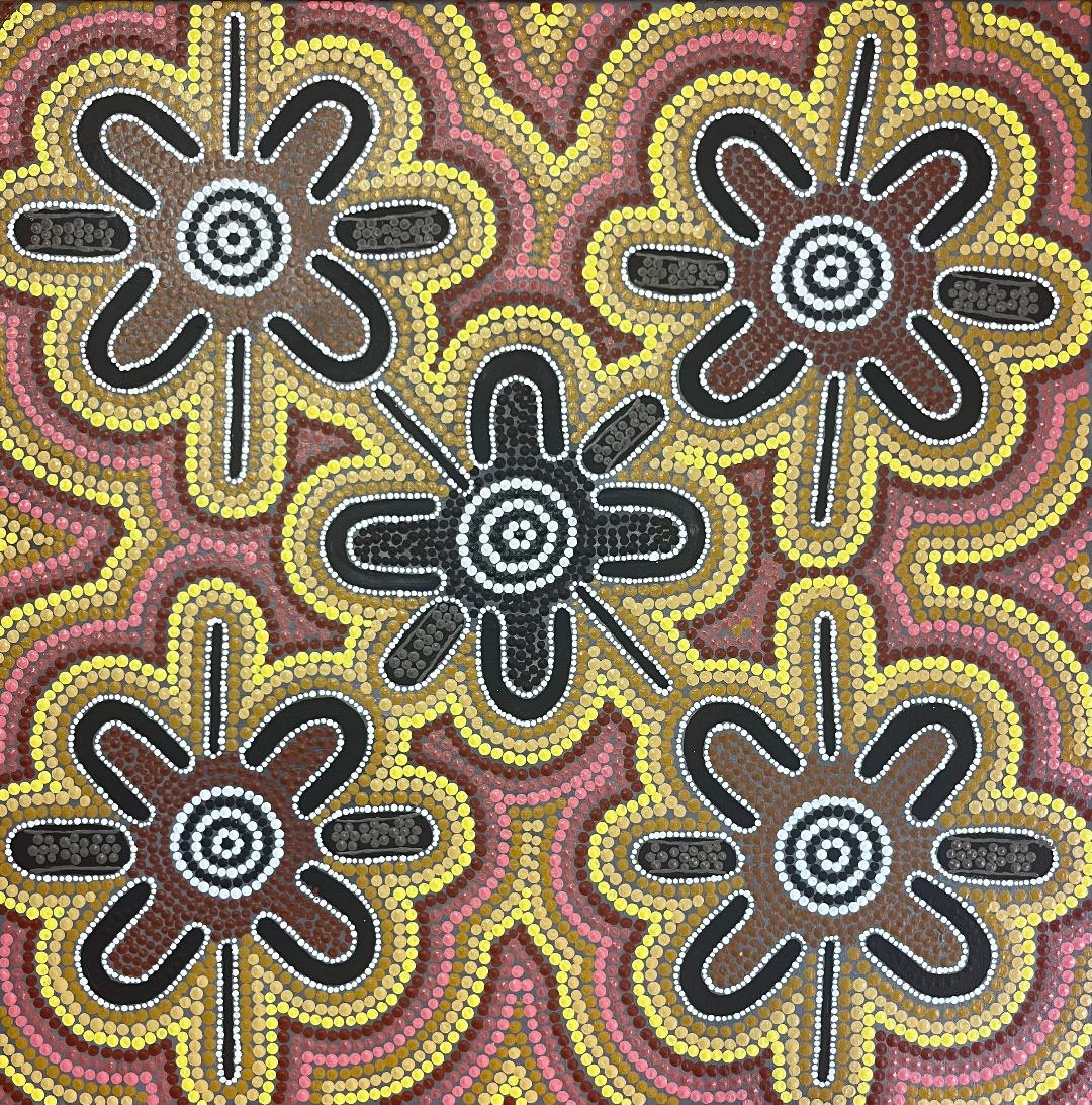 Yerrakwerr (Anmatyerr) Janmarda (Warlpiri) (Bush Onion) Anengkerr (dreaming)